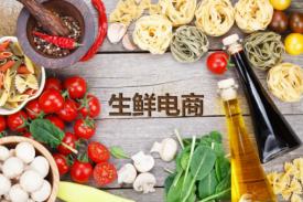 中国生鲜电商市场调研及品牌钻研汇报