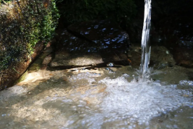 四川省年产10万吨山泉水开发建设项目可行性钻研汇报