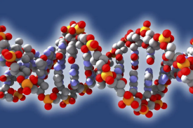 年产500g生物酶造剂项目可行性钻研汇报
