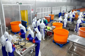 福建省年产6000吨农产品深加工项目可行性钻研汇报