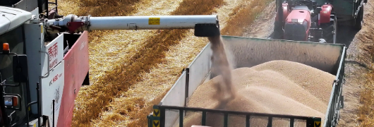 JDB电子·(中国区)试玩平台-JDB电子游戏官网