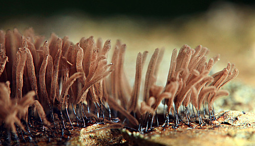 JDB电子·(中国区)试玩平台-JDB电子游戏官网