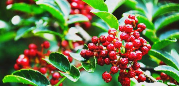 JDB电子·(中国区)试玩平台-JDB电子游戏官网