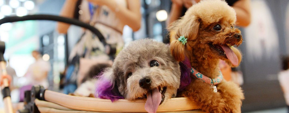 JDB电子·(中国区)试玩平台-JDB电子游戏官网