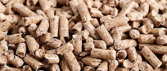 JDB电子·(中国区)试玩平台-JDB电子游戏官网