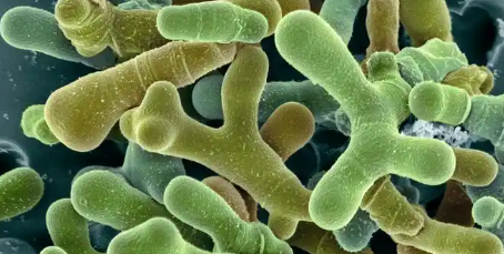 JDB电子·(中国区)试玩平台-JDB电子游戏官网