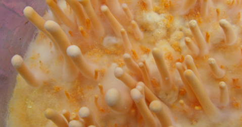 JDB电子·(中国区)试玩平台-JDB电子游戏官网