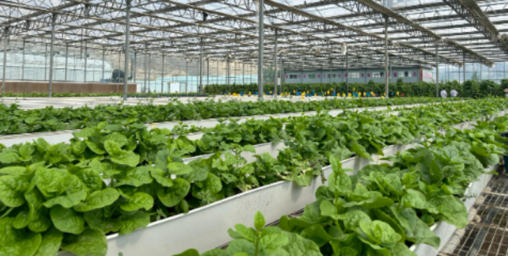 JDB电子·(中国区)试玩平台-JDB电子游戏官网