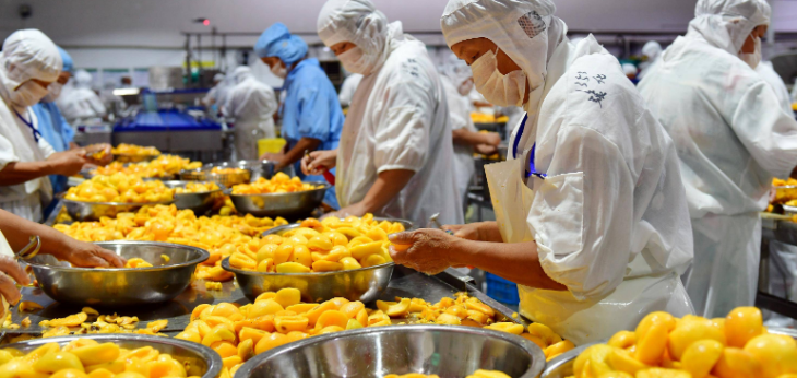 JDB电子·(中国区)试玩平台-JDB电子游戏官网