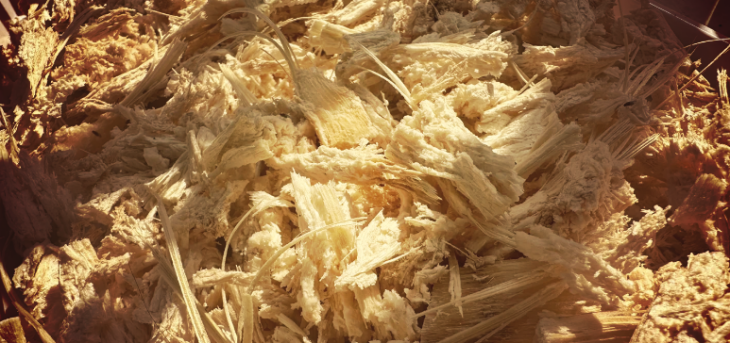 JDB电子·(中国区)试玩平台-JDB电子游戏官网