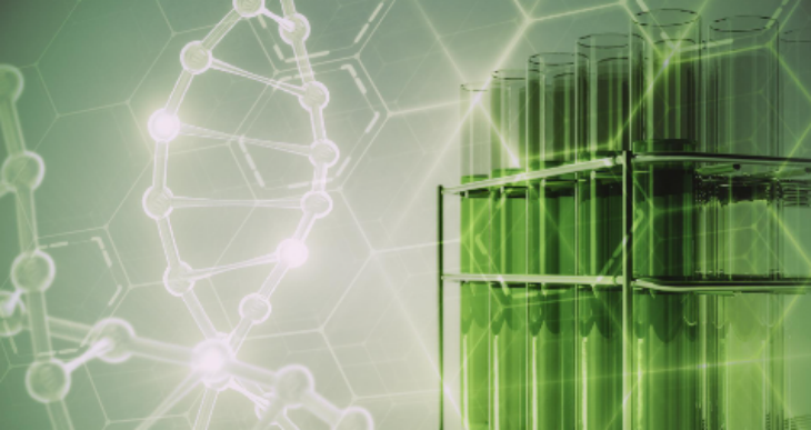 JDB电子·(中国区)试玩平台-JDB电子游戏官网