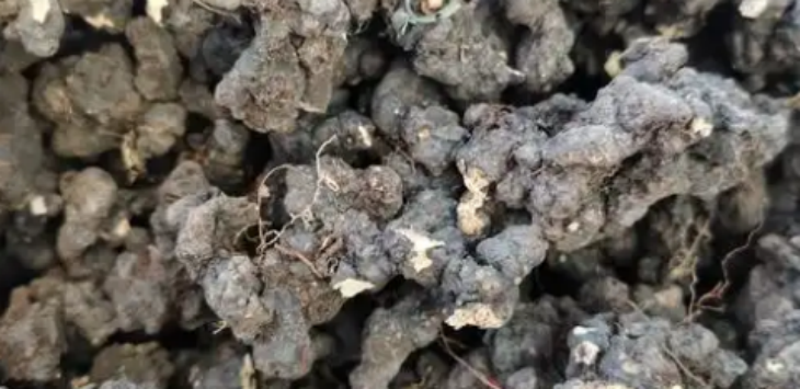 JDB电子·(中国区)试玩平台-JDB电子游戏官网