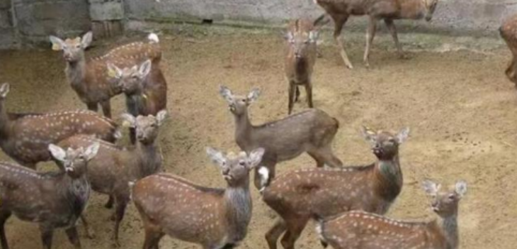 JDB电子·(中国区)试玩平台-JDB电子游戏官网