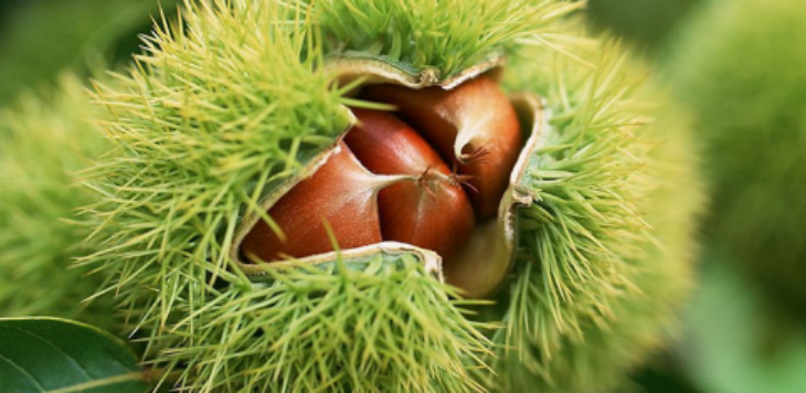 JDB电子·(中国区)试玩平台-JDB电子游戏官网