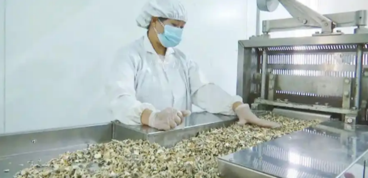 JDB电子·(中国区)试玩平台-JDB电子游戏官网