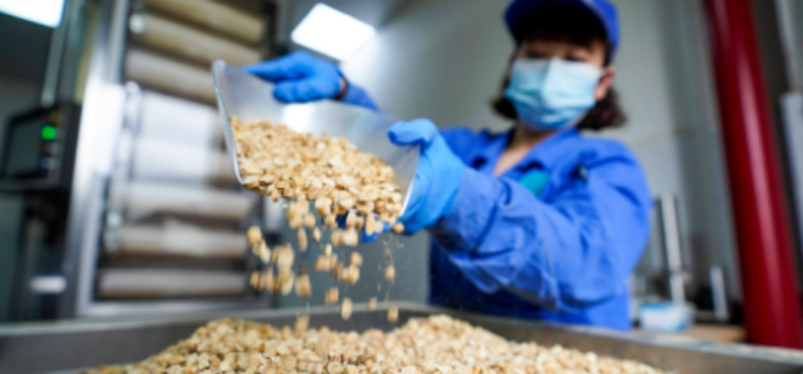 JDB电子·(中国区)试玩平台-JDB电子游戏官网