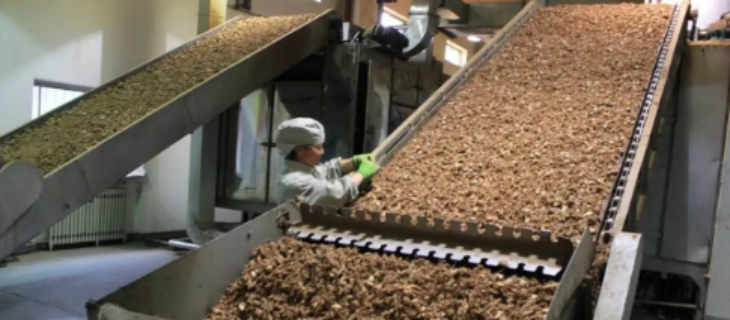 JDB电子·(中国区)试玩平台-JDB电子游戏官网