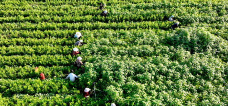 JDB电子·(中国区)试玩平台-JDB电子游戏官网