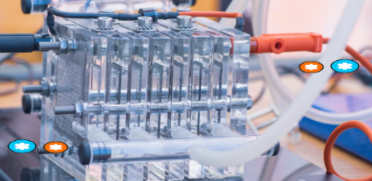 JDB电子·(中国区)试玩平台-JDB电子游戏官网