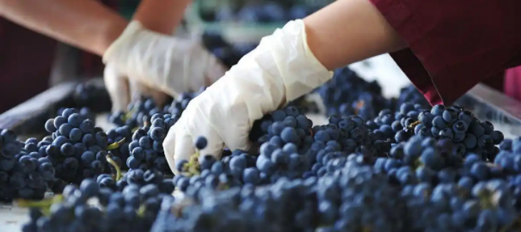 JDB电子·(中国区)试玩平台-JDB电子游戏官网