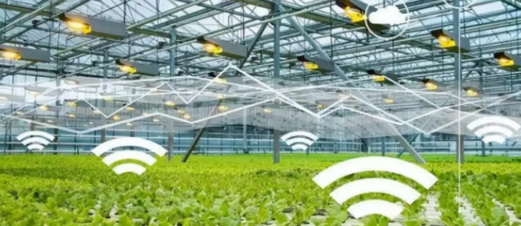 JDB电子·(中国区)试玩平台-JDB电子游戏官网