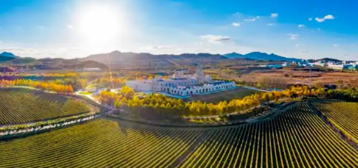 JDB电子·(中国区)试玩平台-JDB电子游戏官网