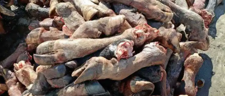 JDB电子·(中国区)试玩平台-JDB电子游戏官网