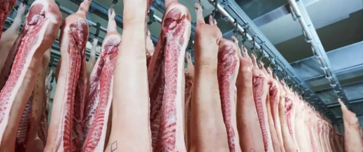 JDB电子·(中国区)试玩平台-JDB电子游戏官网