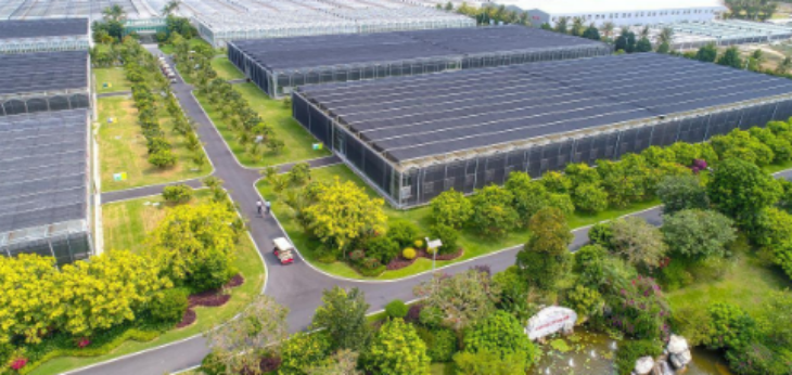 JDB电子·(中国区)试玩平台-JDB电子游戏官网