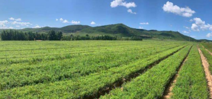 JDB电子·(中国区)试玩平台-JDB电子游戏官网