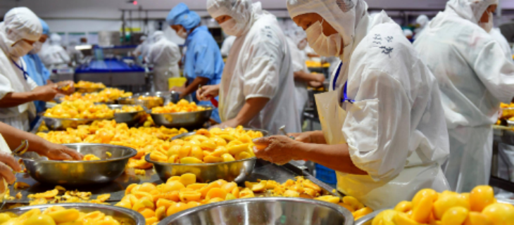 JDB电子·(中国区)试玩平台-JDB电子游戏官网