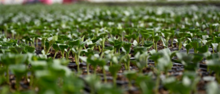 JDB电子·(中国区)试玩平台-JDB电子游戏官网